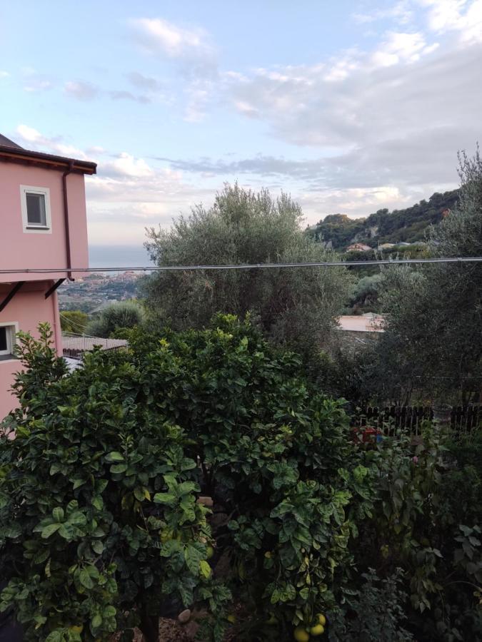 Casa Elvira Lejlighed Seglia San Bernardo Eksteriør billede